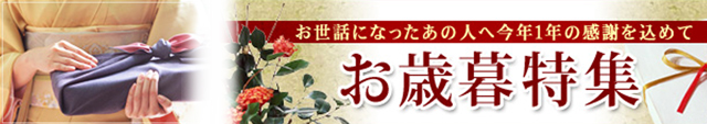 2010�����롡640��113