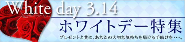 �ۥ磻�ȥǡ�